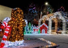 Новорічна ілюмінація в&nbsp;м.Буча &mdash; фотозони, світловий тунель і&nbsp;арки, фігури, що світяться, прикрашені світлодіодними гірляндами дерева