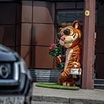 Романтичний Тигра, 3D фігура перед магазином ROSHEN, вид з протилежного боку вулиці, Нивки, Київ, Україна 2024 Романтичний Тигра, 3D фігура перед магазином ROSHEN, вид з протилежного боку вулиці, Нивки, Київ, Україна 2024
