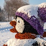 Пінгвін, об'ємна фігура з мішури і електричних гірлянд — Добропарк, Мотижин, передмістя Києва, 2025 Пінгвін, об'ємна фігура з мішури і електричних гірлянд — Добропарк, Мотижин, передмістя Києва, 2025