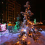 Новогодние праздники в г.Буча Новогодние праздники в г.Буча