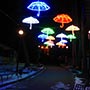Украшение дерева уличными светодиодными гирляндами в парке «Сказка», г.Николаев