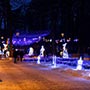 Парк им.Правика, г.Ирпень