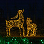 Фотозона - световая 3D-фигура производства Blachere Illumination, Добропарк, Украина
