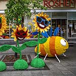 «Сім'я Соняшників» - 3D фігури на вулиці перед входом до магазину ROSHEN, Львів «Сім'я Соняшників» - 3D фігури на вулиці перед входом до магазину ROSHEN, Львів